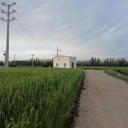 Appartamento Gegant De Ferro Sant Jaume d'Enveja Esterno foto