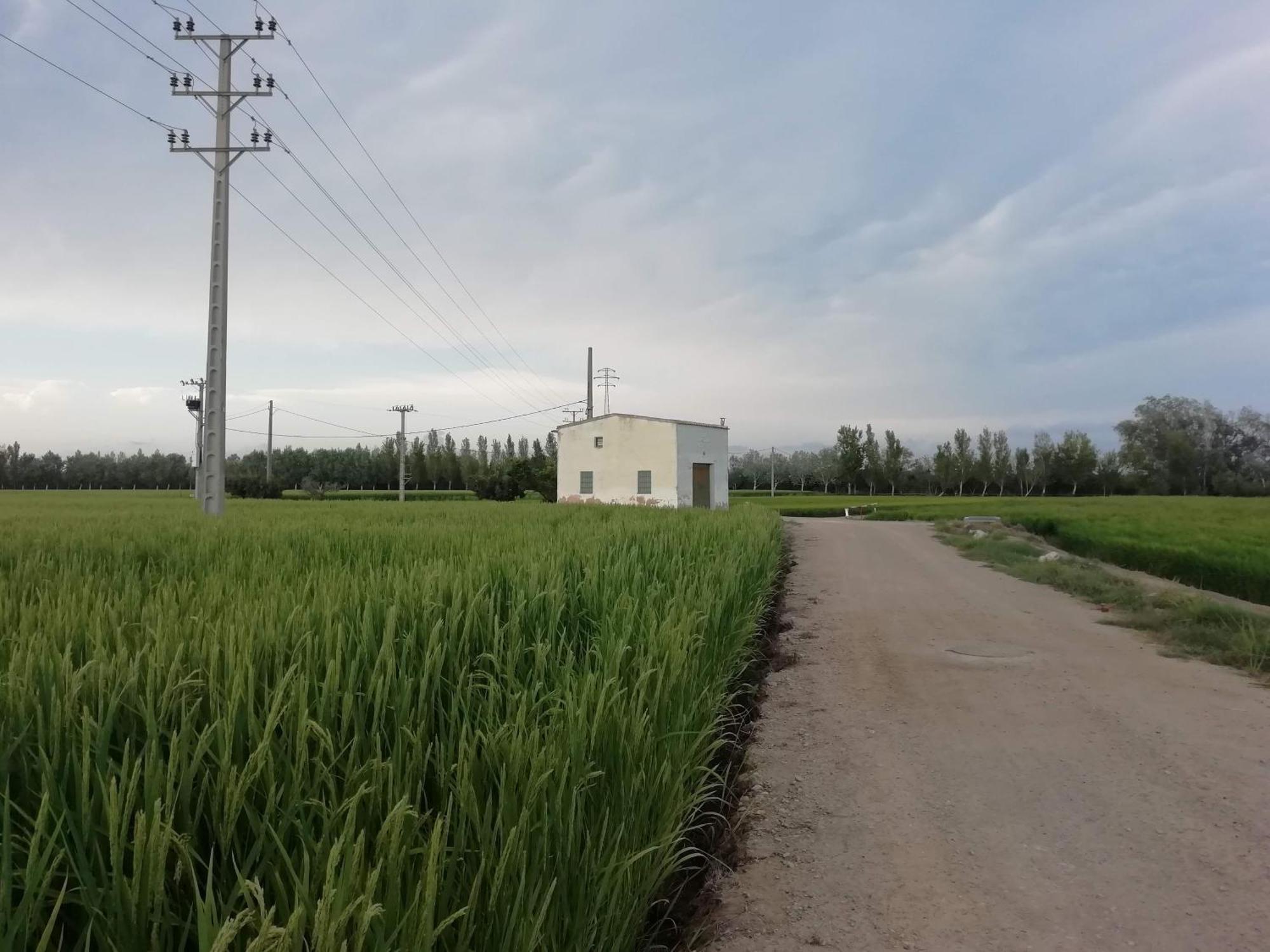 Appartamento Gegant De Ferro Sant Jaume d'Enveja Esterno foto